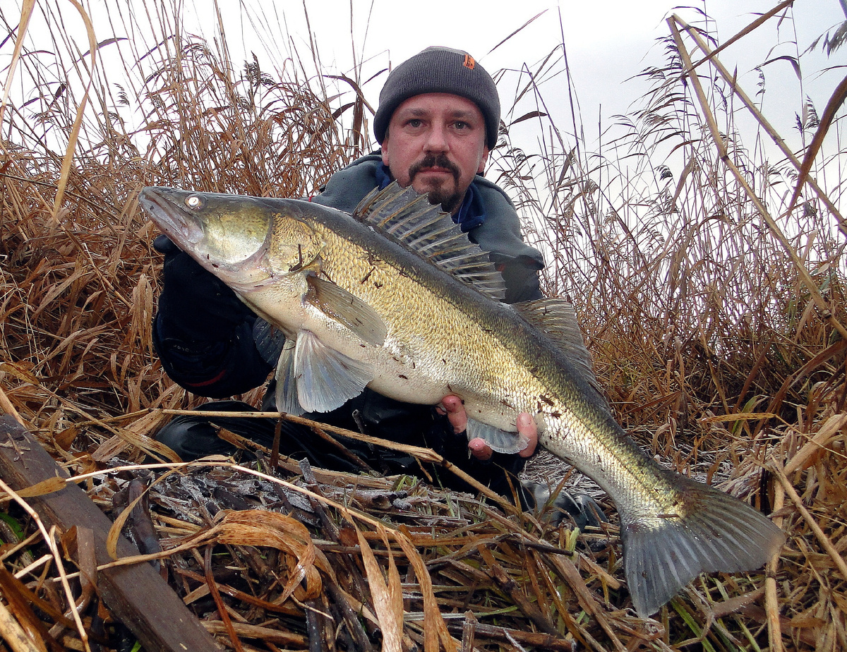 На первой же рыбалке, вот такой красавчик соблазнился 109 цветом...
