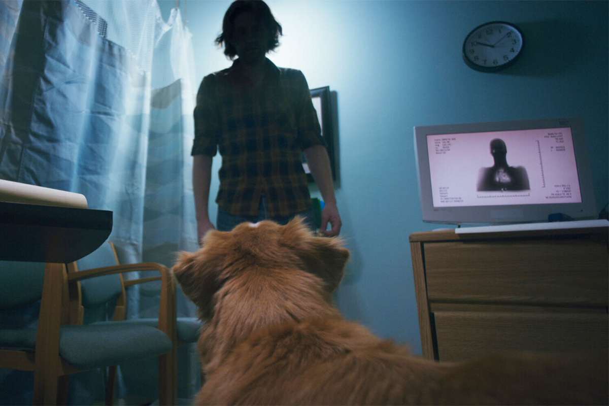 Кадр из фильма «Глазами пса»