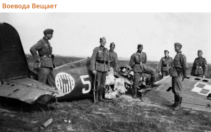    Скриншот:Telegram/Воевода вещает