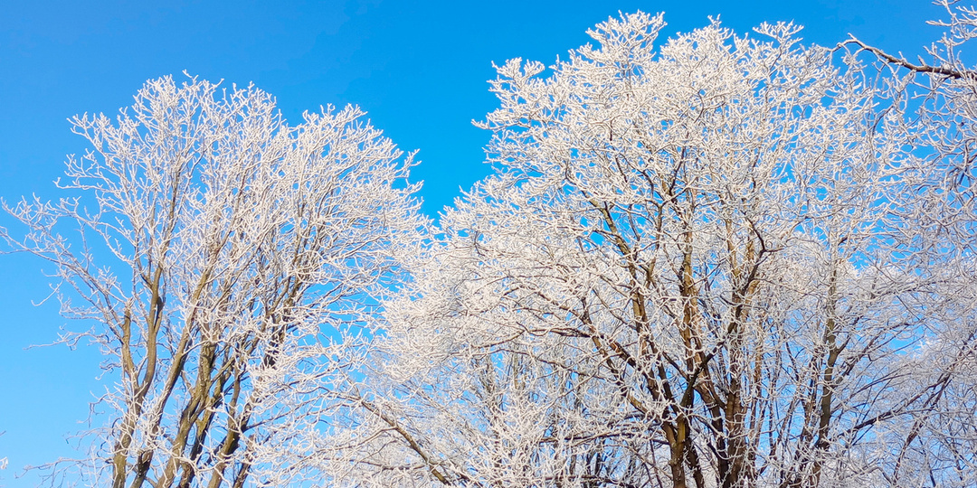 После резкой оттепели в Тверскую область вернется зима