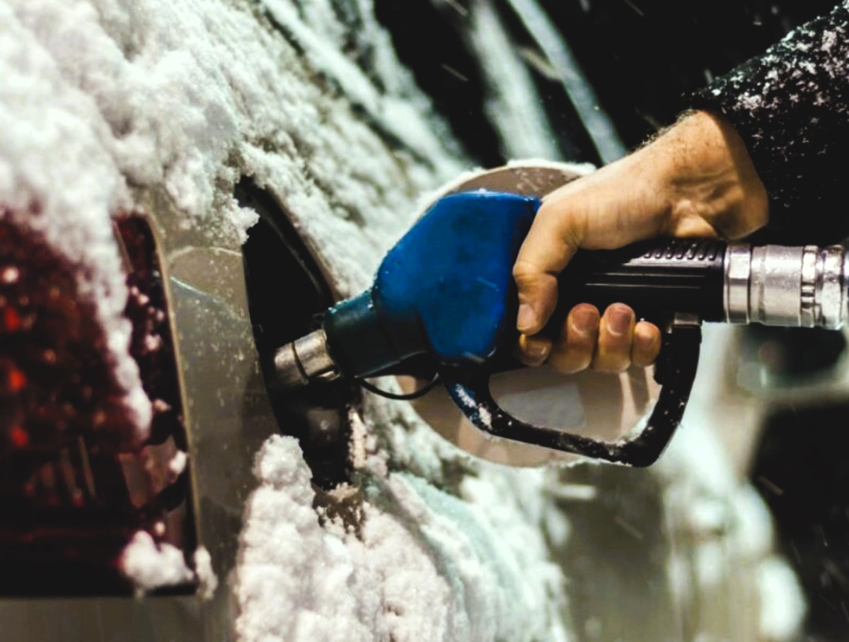 Источник Яндекс Картинки