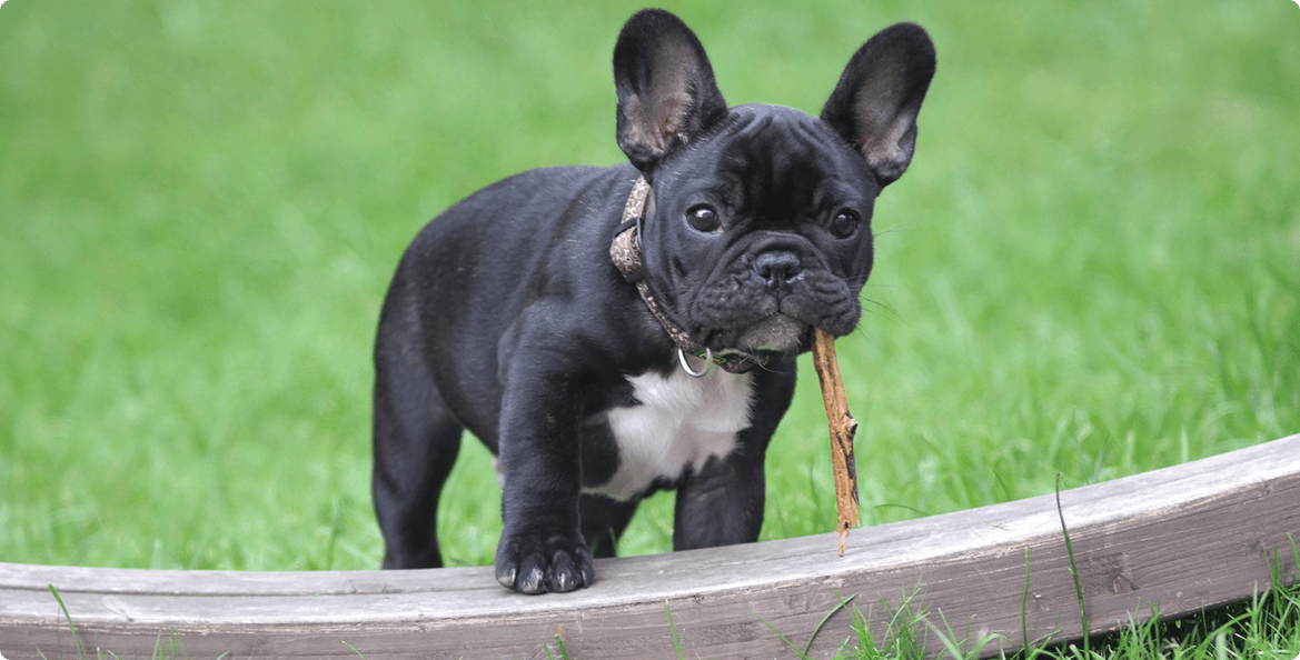 Этот взгляд способен растопить даже самое ледяное сердце.