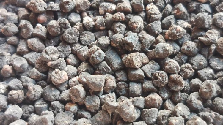    Фото: Лукьянов Дмитрий, AgroXXI.ru