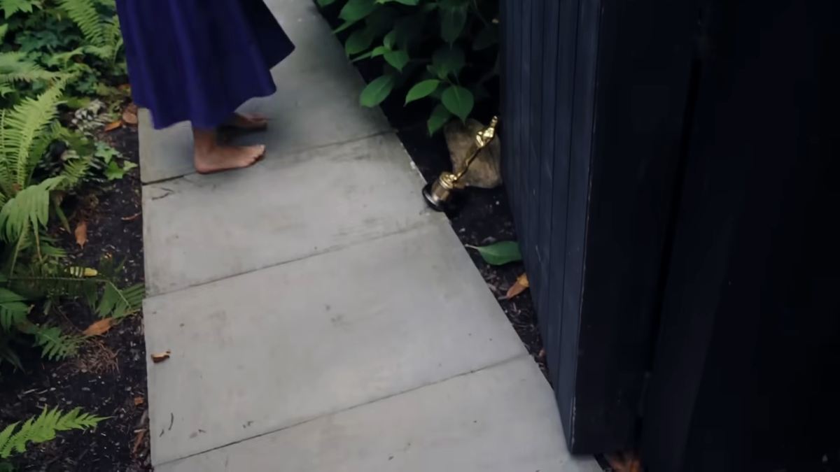 Фото из свободных источников.