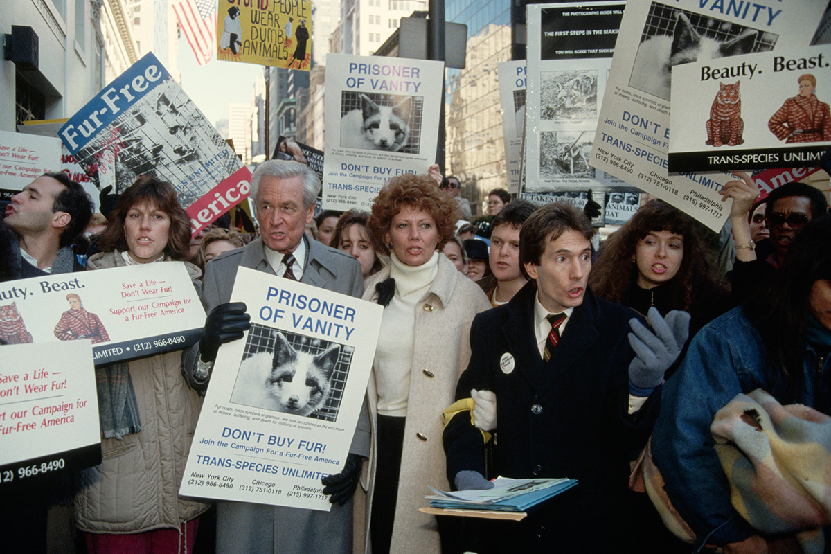 Jacques M. Chenet / CORBIS / Corbis via Getty Images📷Телеведущий Боб Баркер на митинге в защиту прав животных на Пятой авеню (Манхэттен), 1988 год