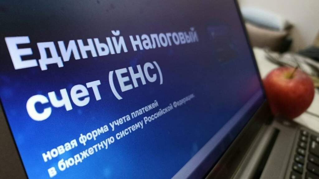    Фото с сайта nalog.gov.ru Валерия Стальная