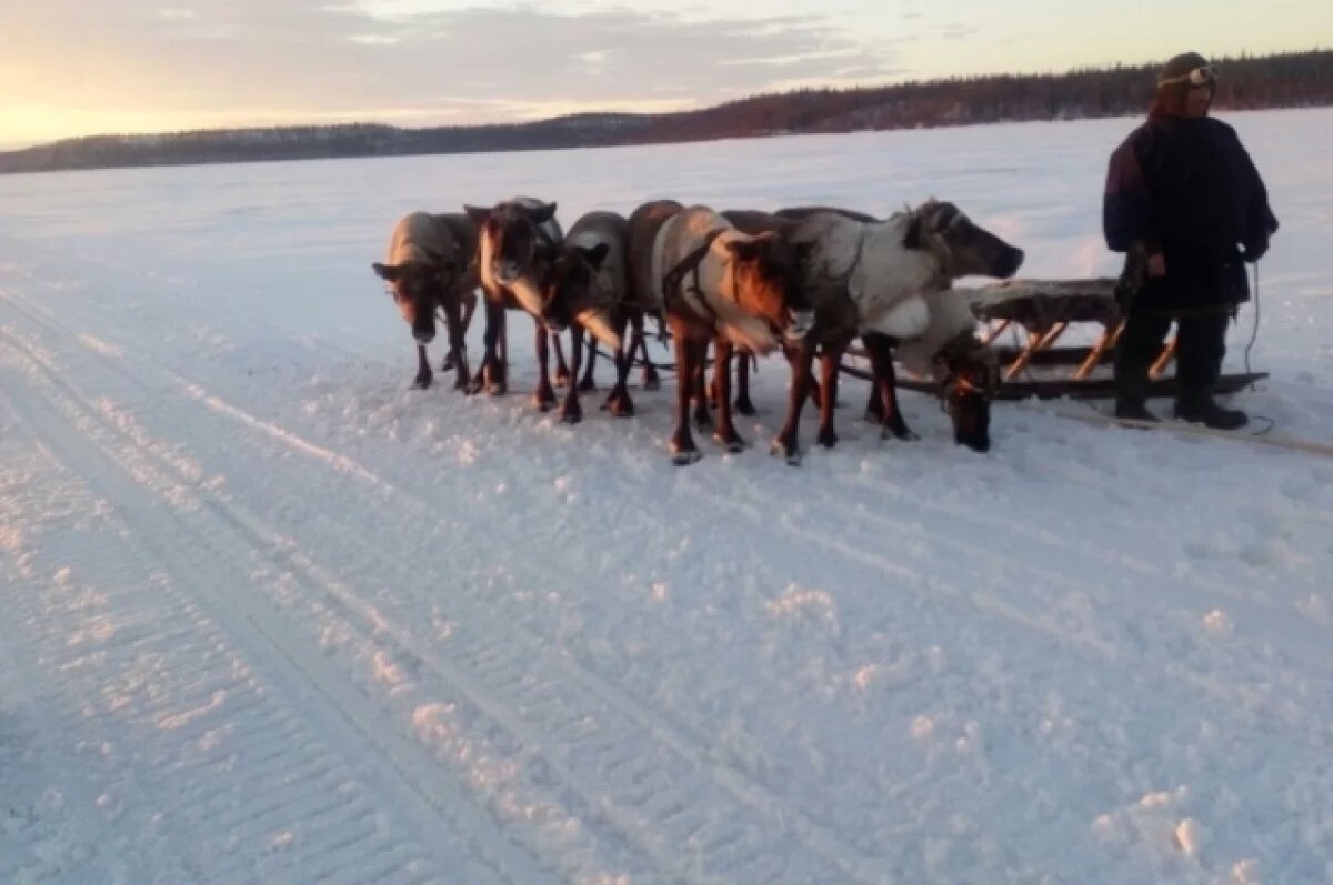    Ямал празднует 95-летний юбилей