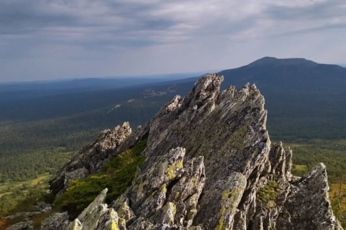    Экопросветитель пытался добиться «северной» надбавки за работу в Прикамье