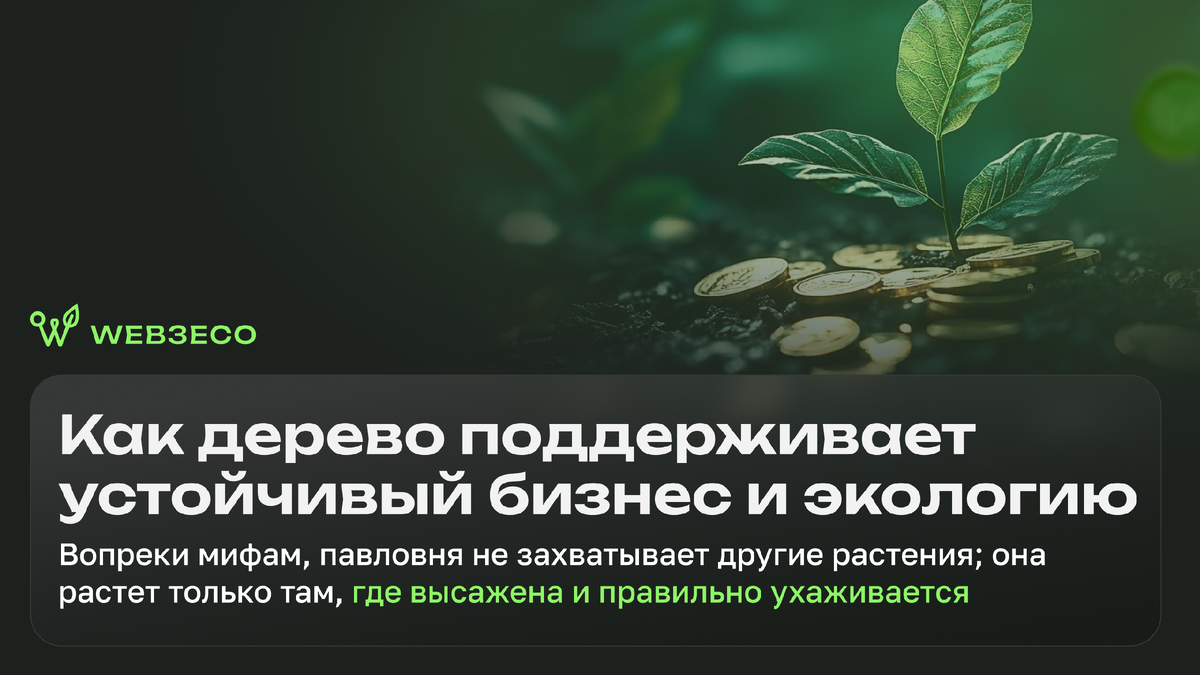 Как дерево поддерживает устойчивый бизнес и экологию. Вопреки мифам, павловня не захватывает другие растения; она растет только там, где высажена и правильно ухаживается