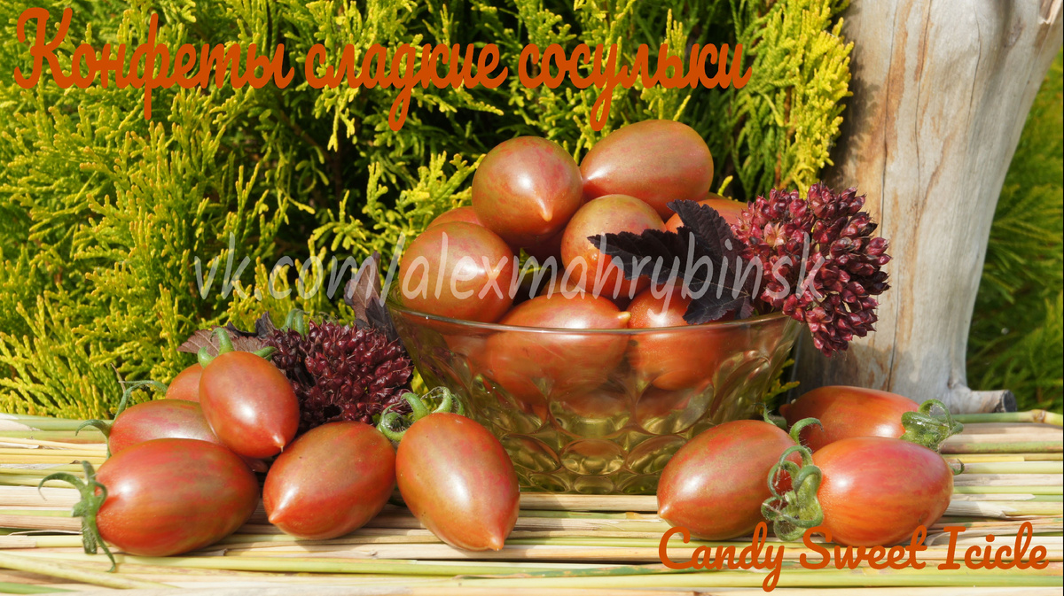 Конфеты сладкие сосульки (Candy Sweet Icicle) США