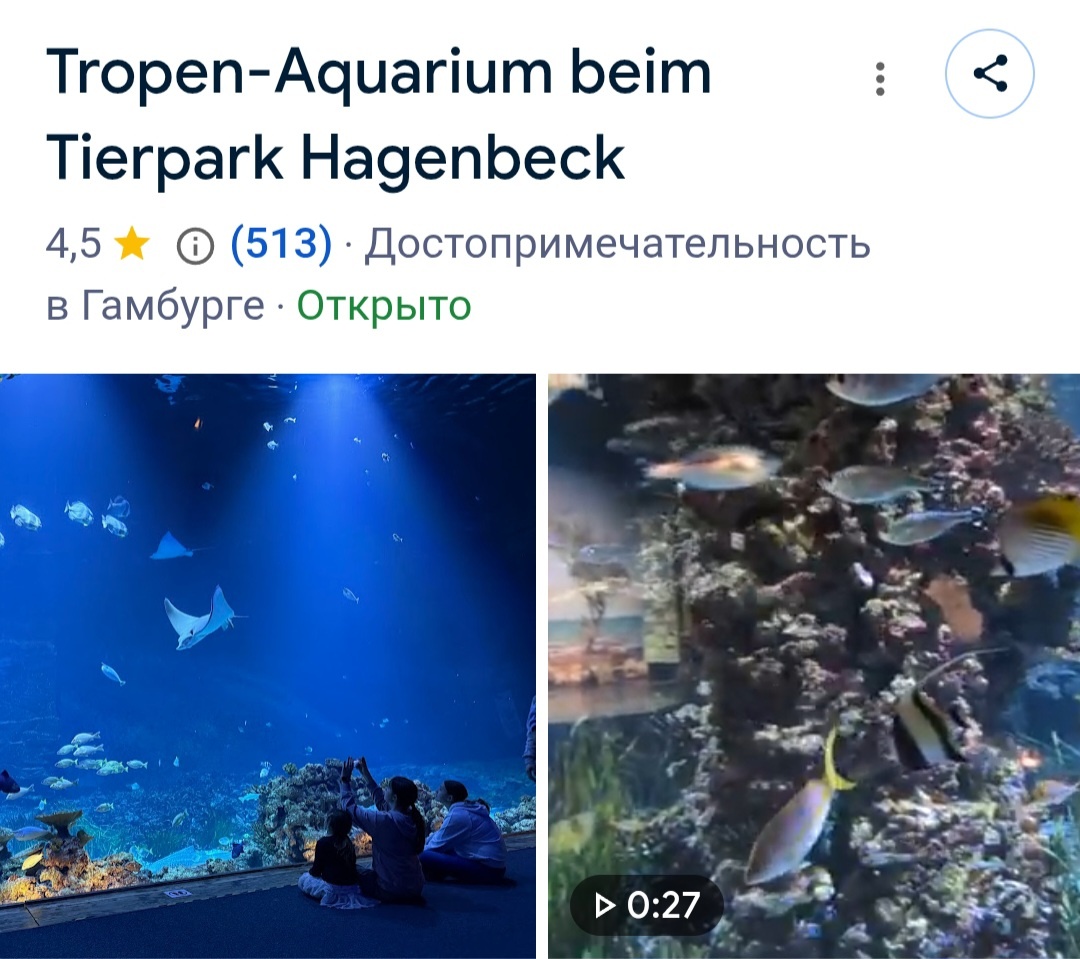 Скриншот из открытого источника.