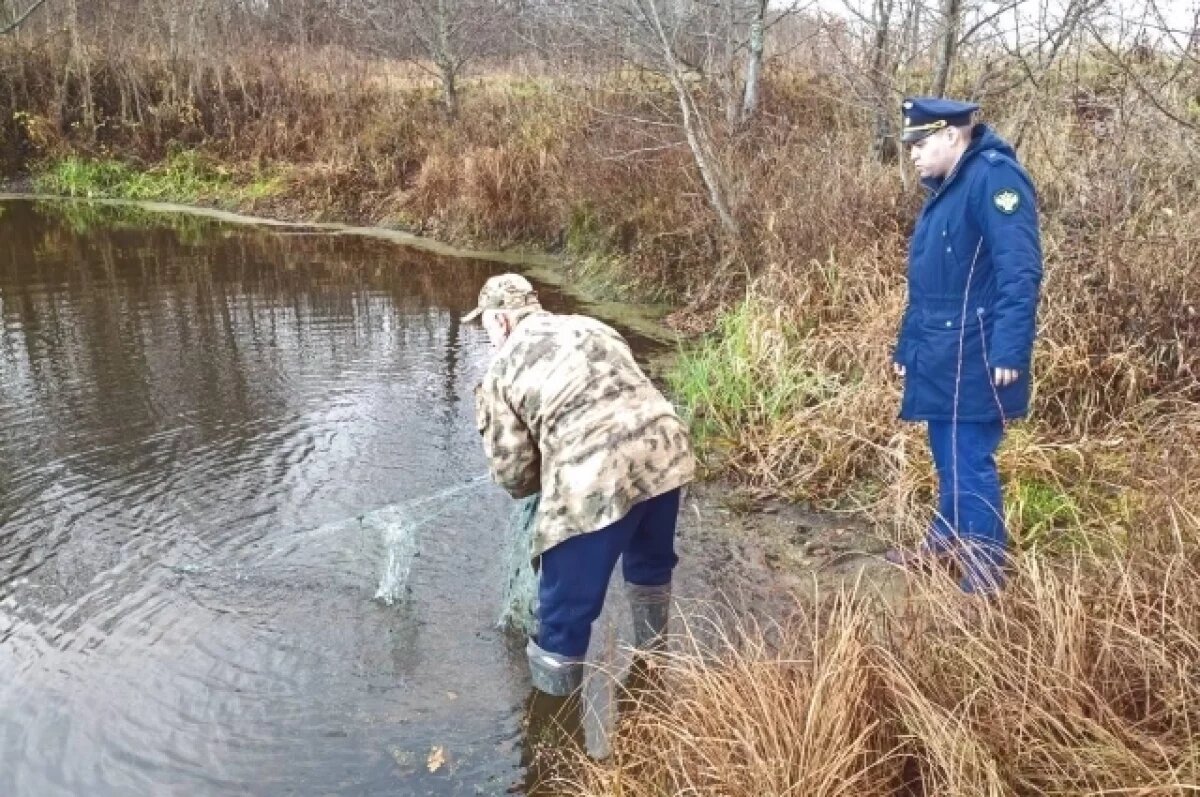    Во владимирском заказнике нашли 30 метров браконьерских сетей