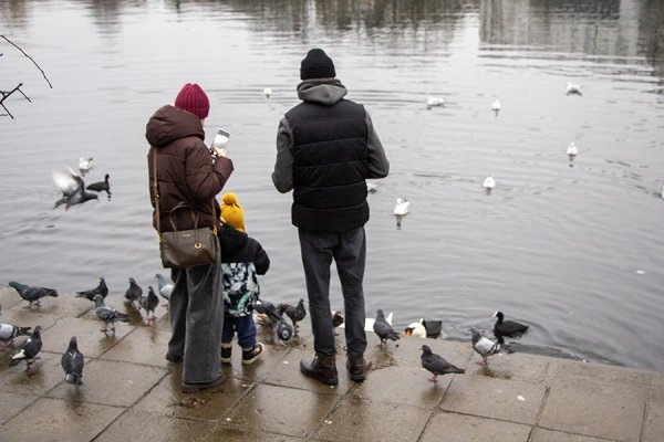 При назначении единого пособия планируют учитывать переводы денег на карту