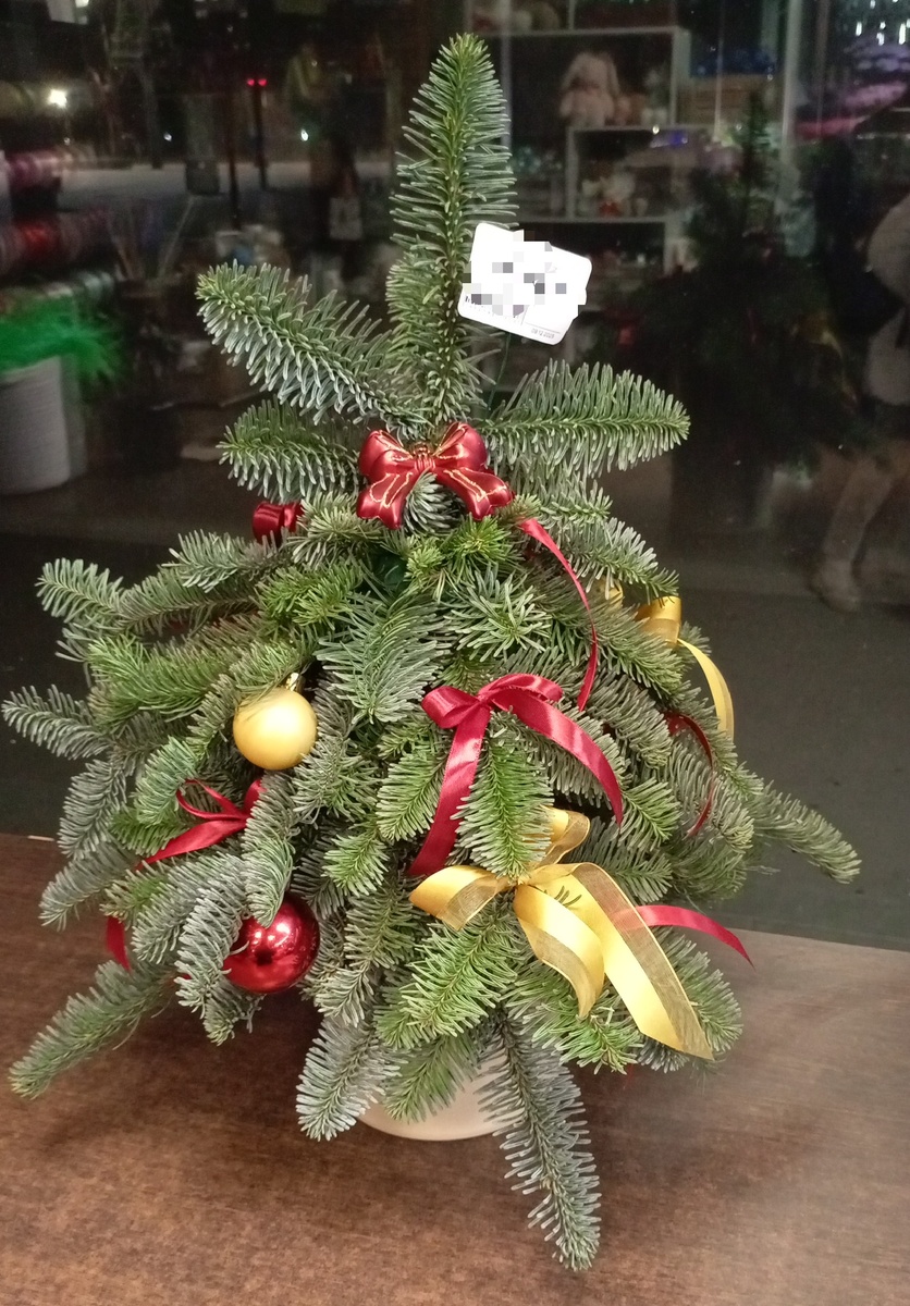 Елочка вам нравится?