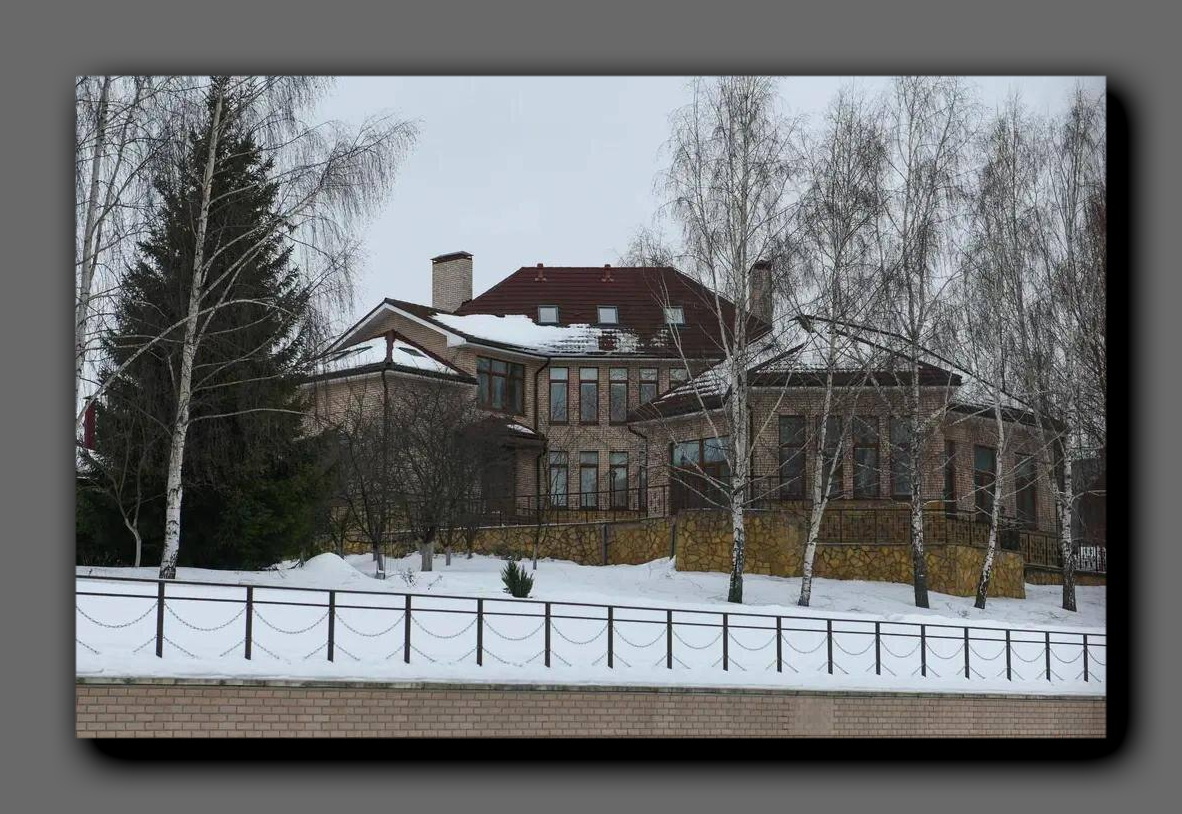 Особняк Ларисы Долиной. Фото из открытых источников