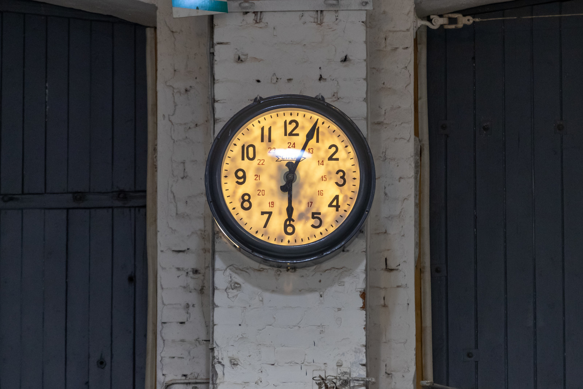 Фото: Олег Золото / «Вечерний Санкт-Петербург»