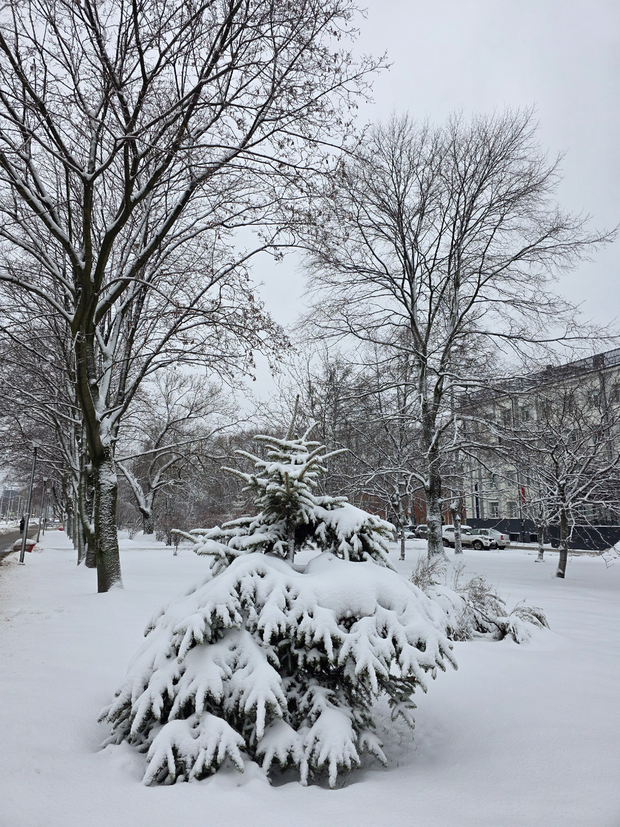 У поликлиники всё замело снегом