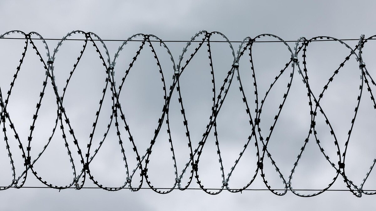    Фото: Sergey Elagin/globallookpress.com