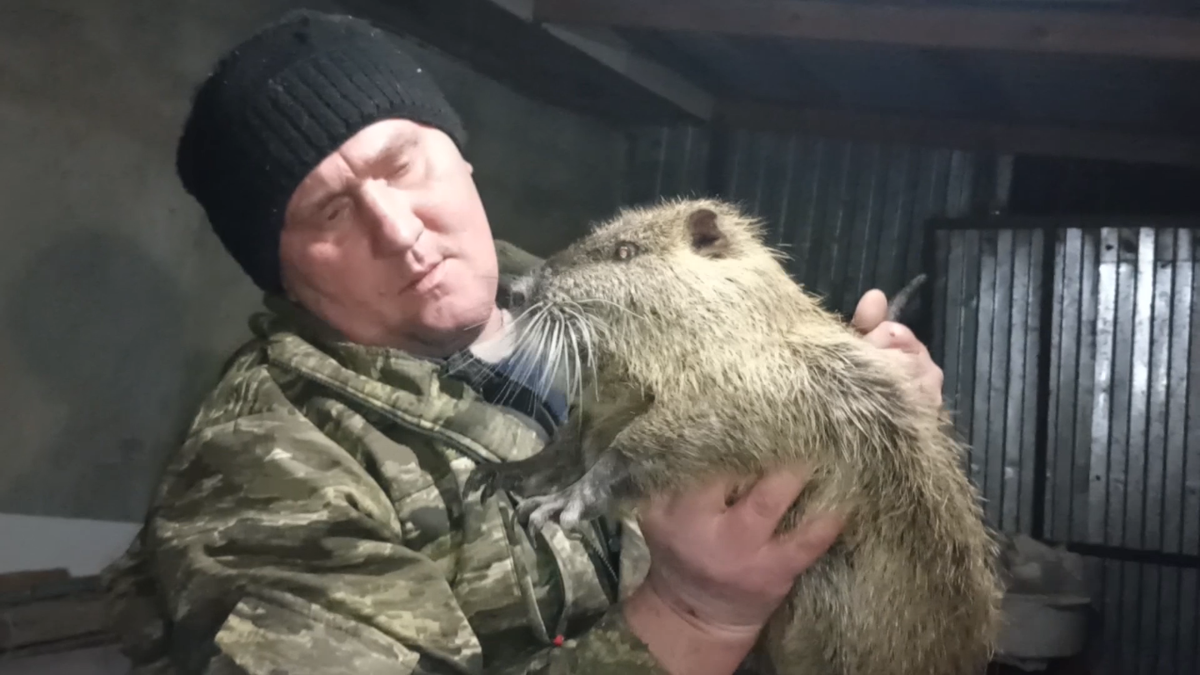 Женя и Тушканиха