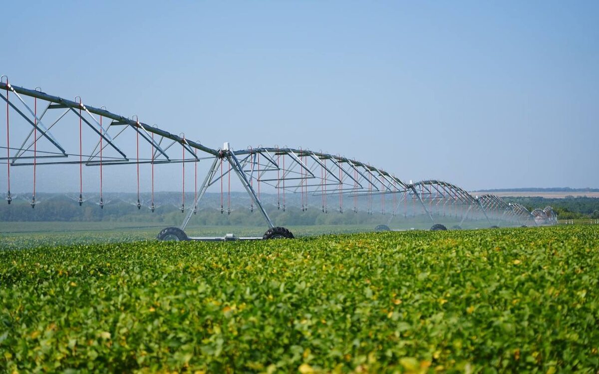    Генпрокуратура требует признать компанию NCH Capital, основавшую ГК «АгроТерра» экстремистской организацией Фото: сайт компании «АгроТерра»