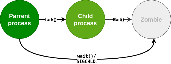 Жизненный цикл процесса в Linux: от рождения до полного удаления.