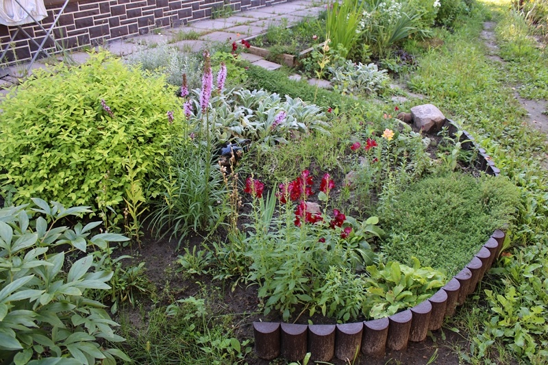 Так выглядит склон до виртуальной переделки