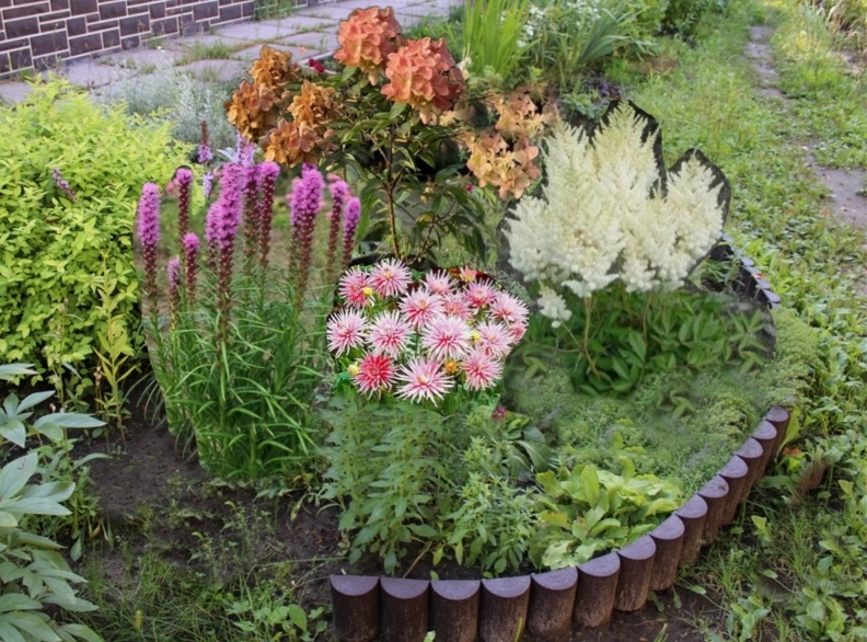 Дизайн цветника на склоне № 1