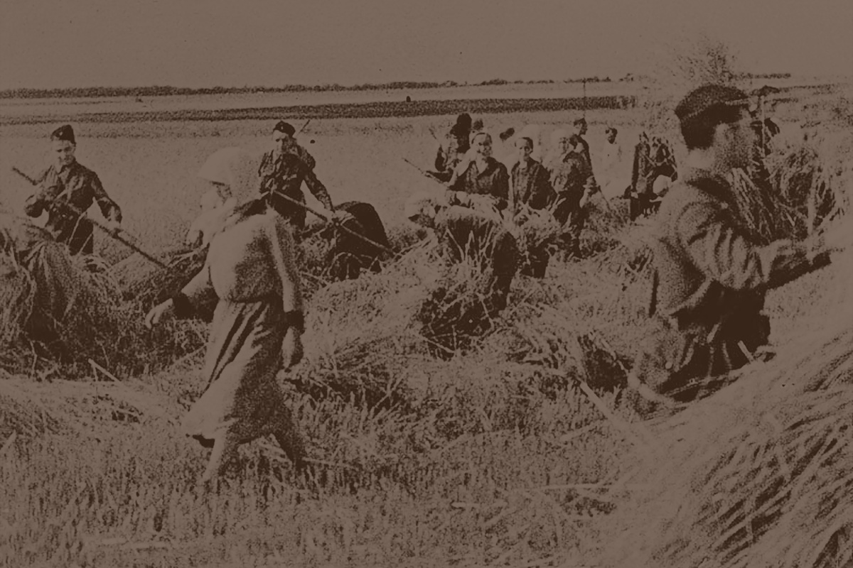 В прифронтовом селе Сталинградской области