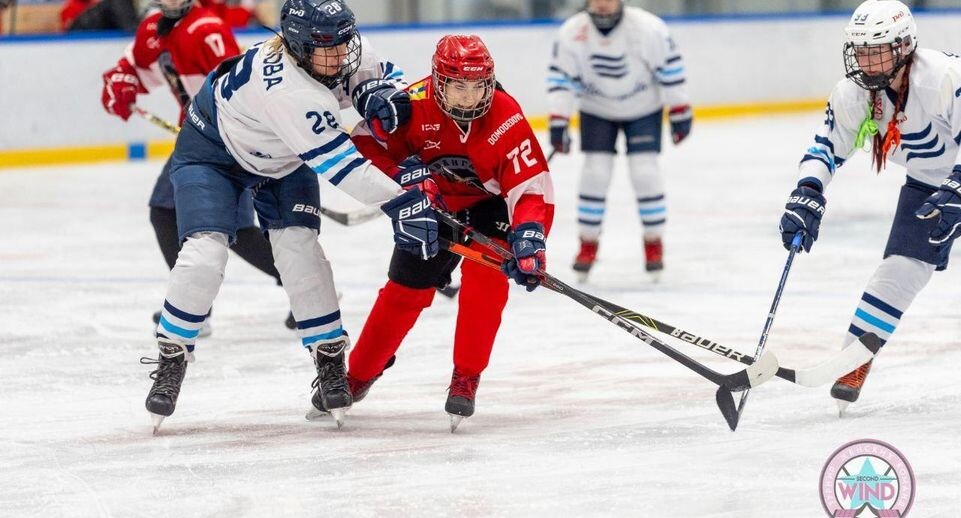    ЖХК "Авангард"