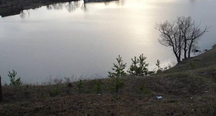 Иллюстрация: сгенерировано нейросетью