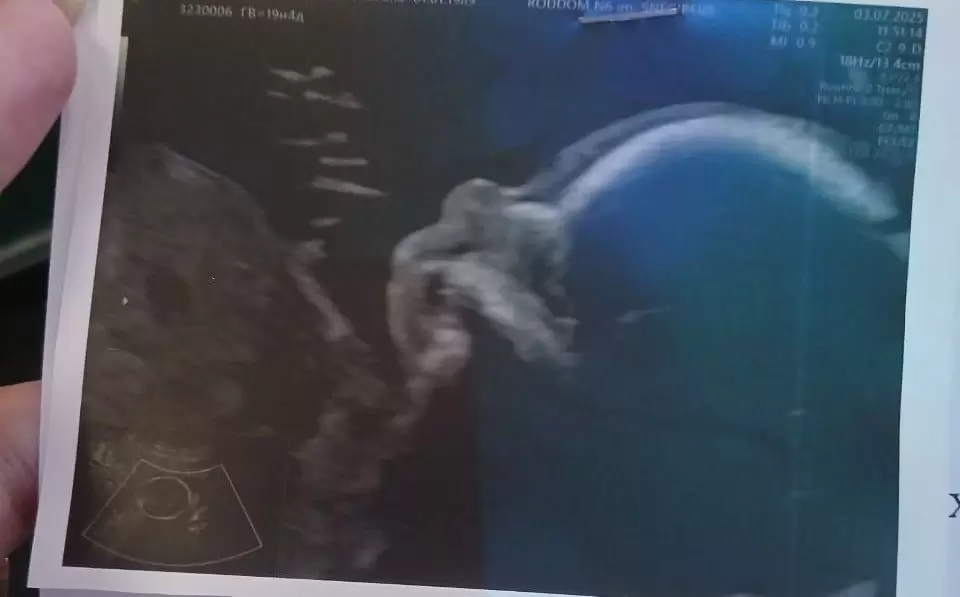 Фото: соцсети задержанной