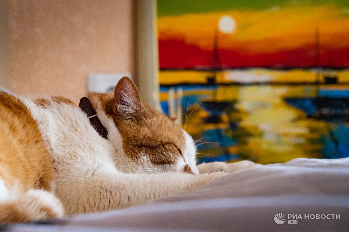 Главное вот так не проспать бой курантов. 