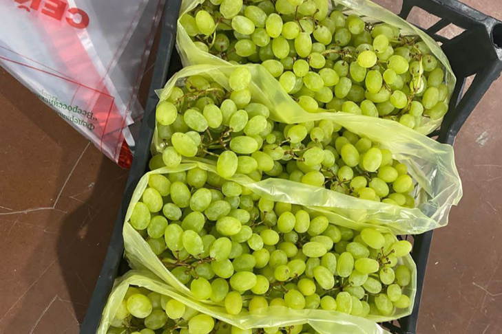    Фото пресс-службы Новосибирской таможни