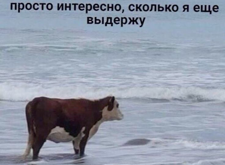 5 способов перезагрузиться, когда нет денег на отпуск