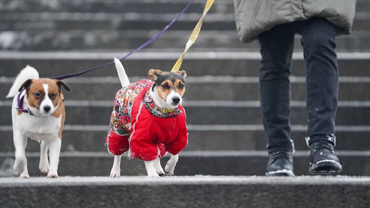    Фото: Пелагия Тихонова / АГН Москва