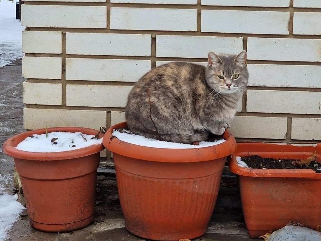    Фото: Е. Богачева. Газета "Земля"