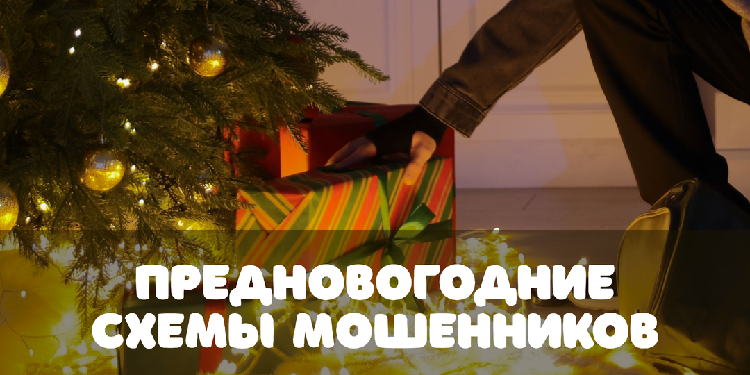 Новогодние приключения мошенников