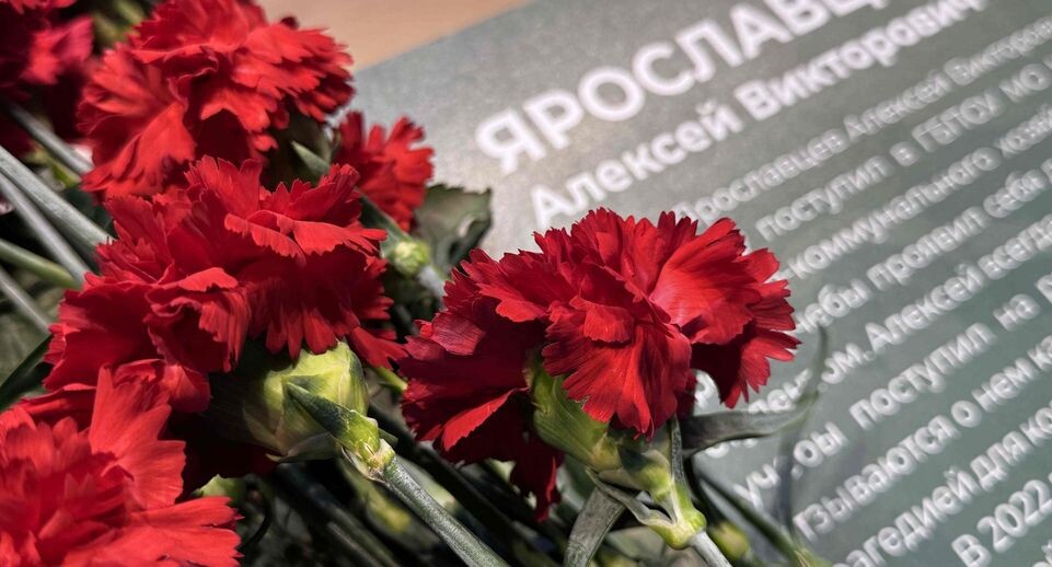    Министерство образования Московской области