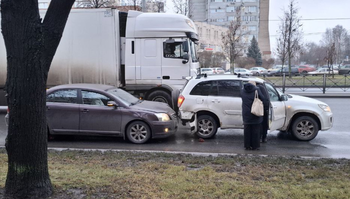 Фото: читатели Neva.Today