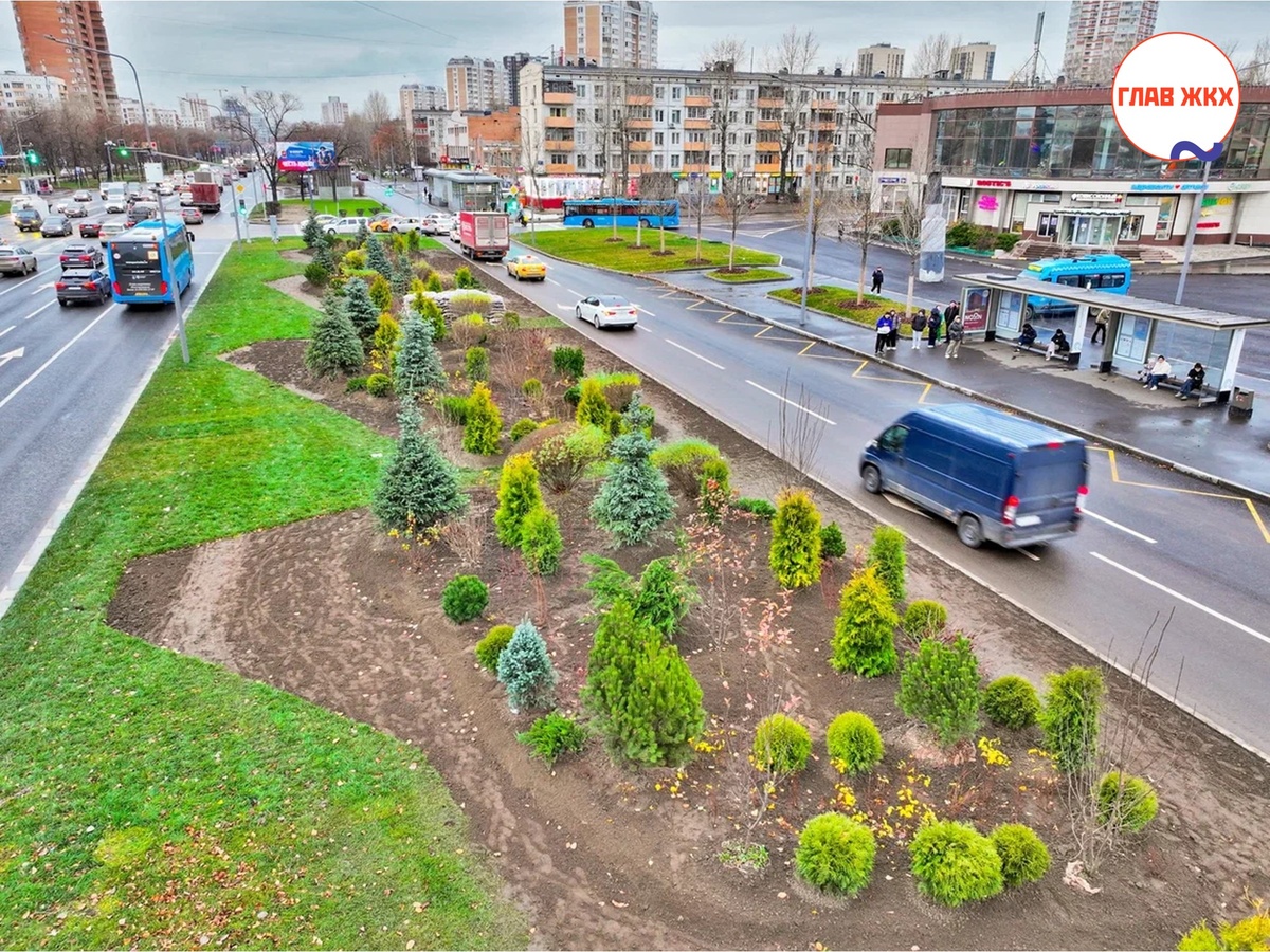 Москва озеленяется: высадка 10 тыс. крупномерных деревьев до конца года
