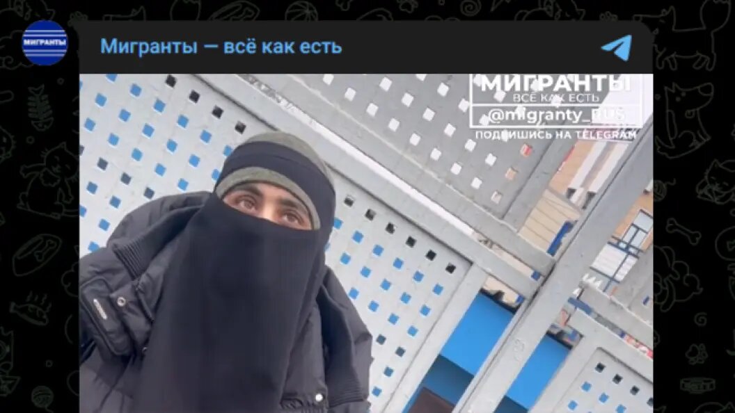    Фото: Telegram-канал "Мигранты — всё как есть"