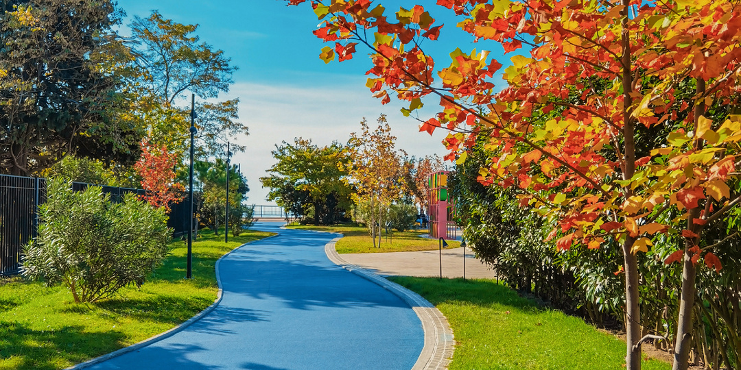 Имеретинский курорт, Сочи. Ноябрь 2025