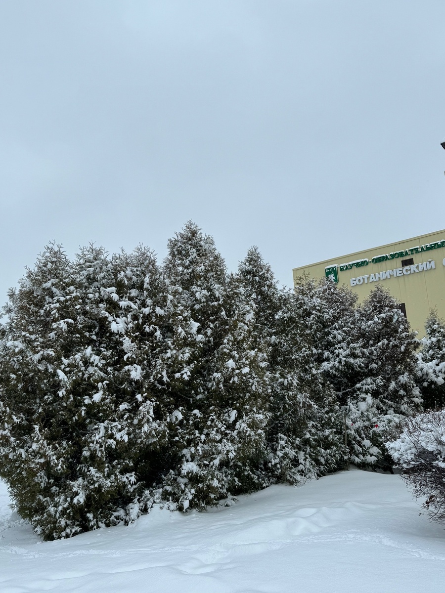 Из группы Ботанического сада в ВК