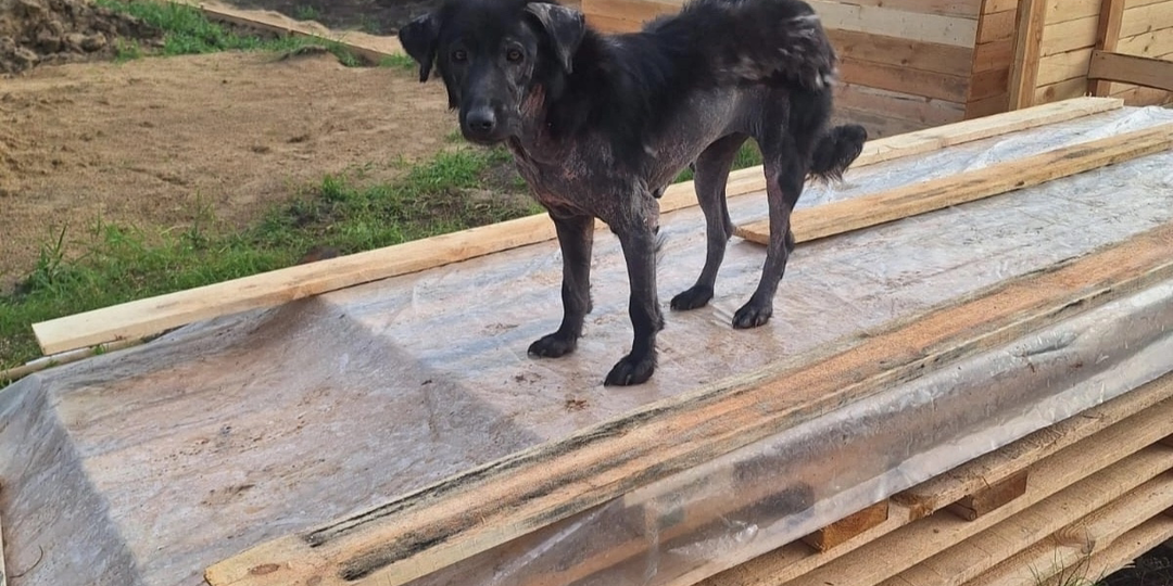 Помните эту громкую историю?