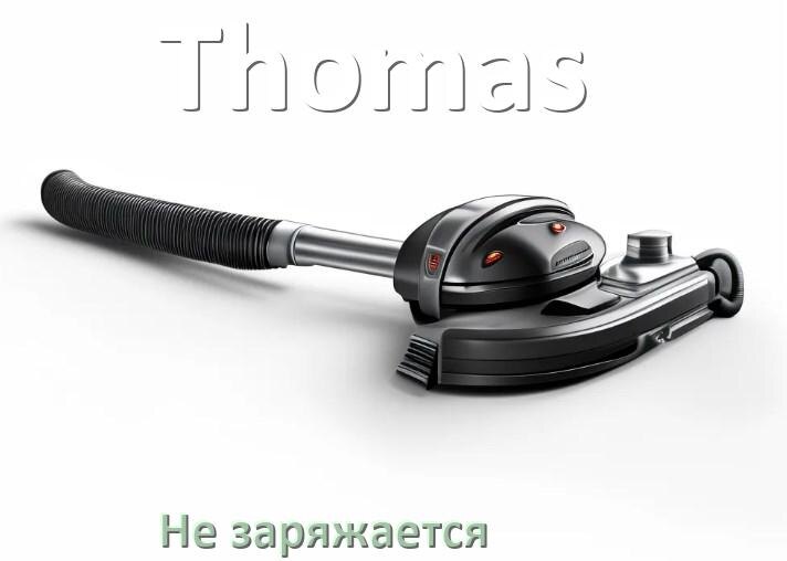 
Почему беспроводной пылесос Thomas не заряжается