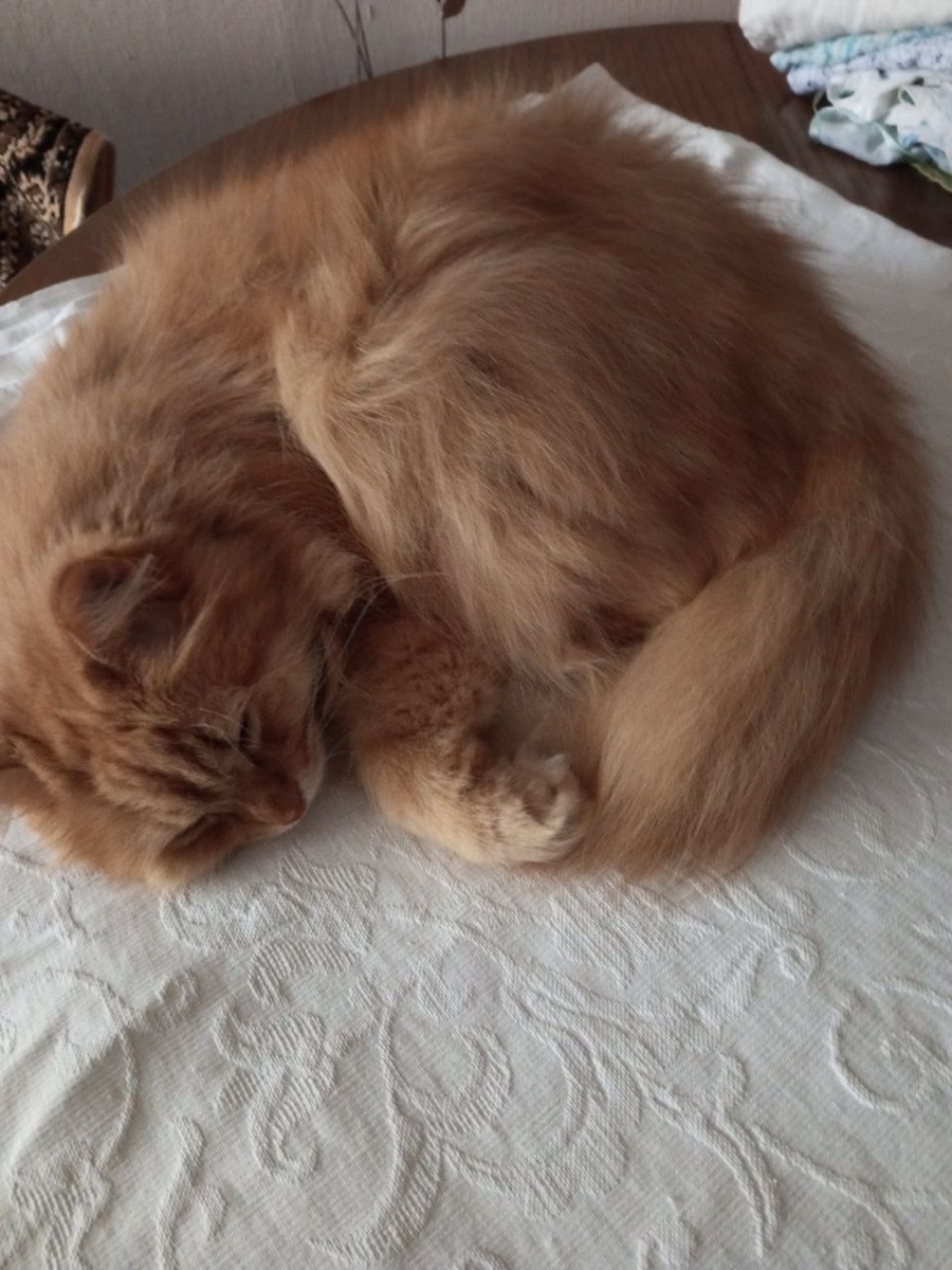 Прям уморился даже!