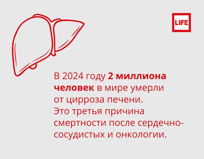 Врач заявила о «буме» цирроза в России. Всё о болезни. Фото © Life.ru