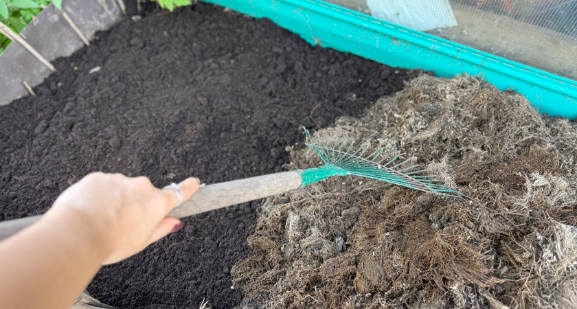    Фото: ПроГород