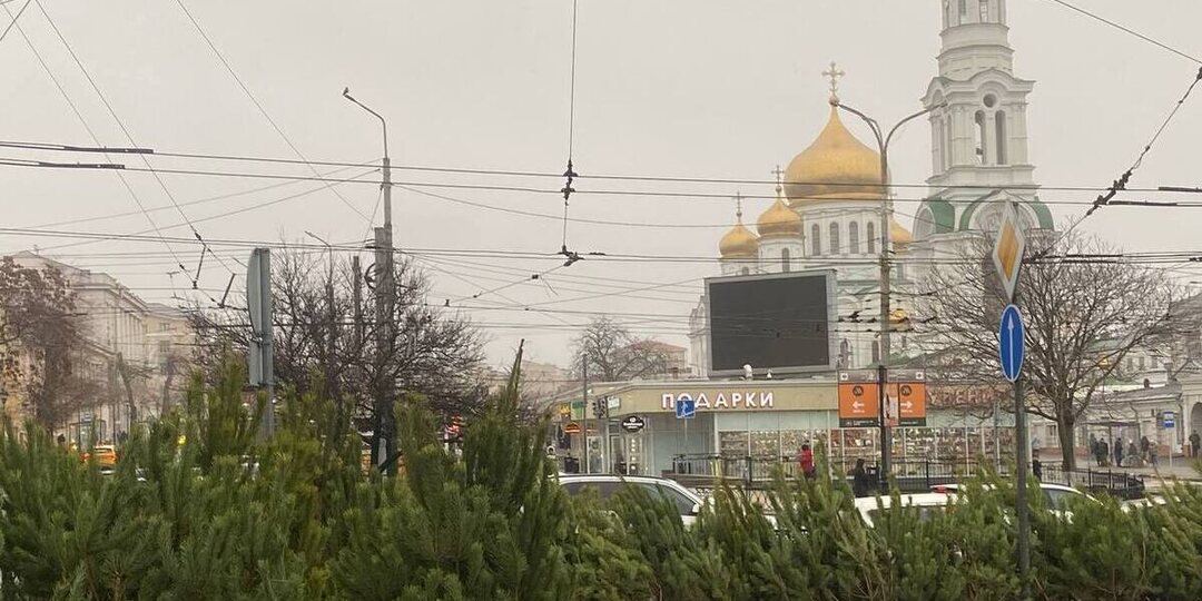 На Центральном рынке Ростова заработал елочный базар