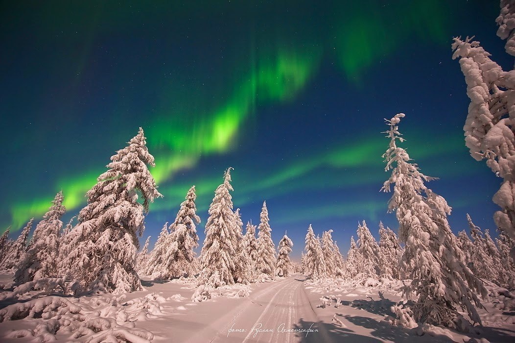 Картинка найдена на просторах интернета, ссылка https://yandex.ru/images/search?from=tabbar&img_url=https%3A%2Fi%2F.pinimg.com%2Foriginals%2Fa8%2F34%2Fа3f%2Fa83р43f81с23879b5e7bd53274cf0591a19.jpg&lr=47&pos=15&rpt=simage&text=%D1%86%D0%B2%D0%B5%D1%82%D1%8B%20%D0%BA%D1%80%D1%83%D0%BF%D0%BD%D0%BE%20%D1%84%D0%BE%D1%82%D0%BE